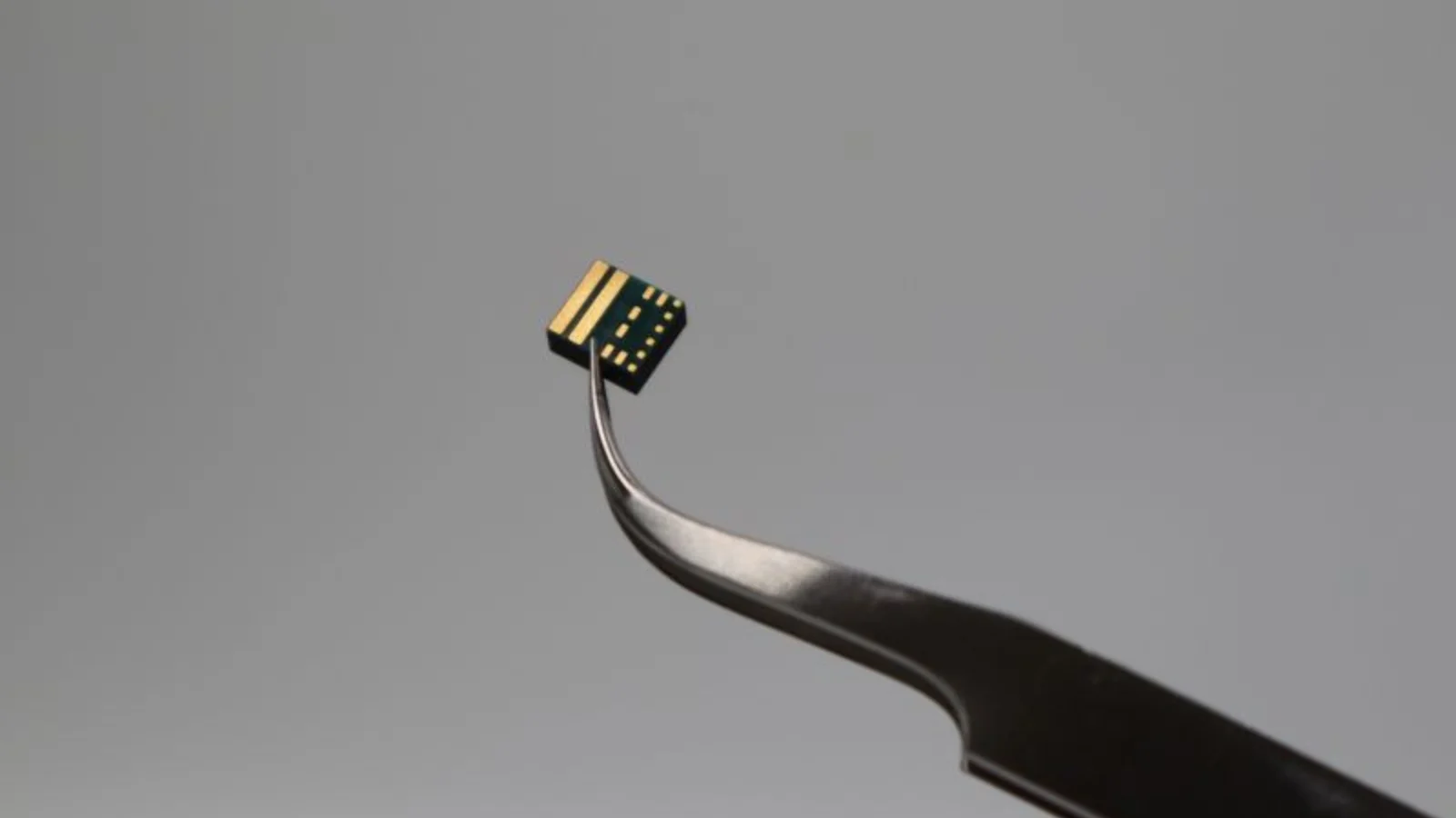Lotus Microsystems